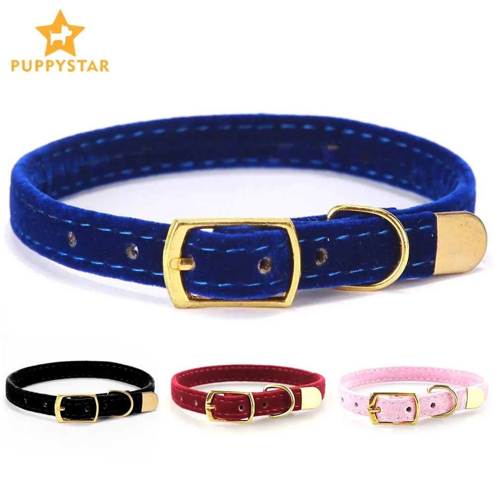 Collars For Small Cats & Dogs