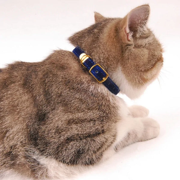 Collars For Small Cats & Dogs