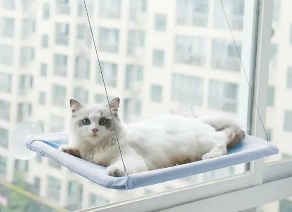 Cat Window Hammock