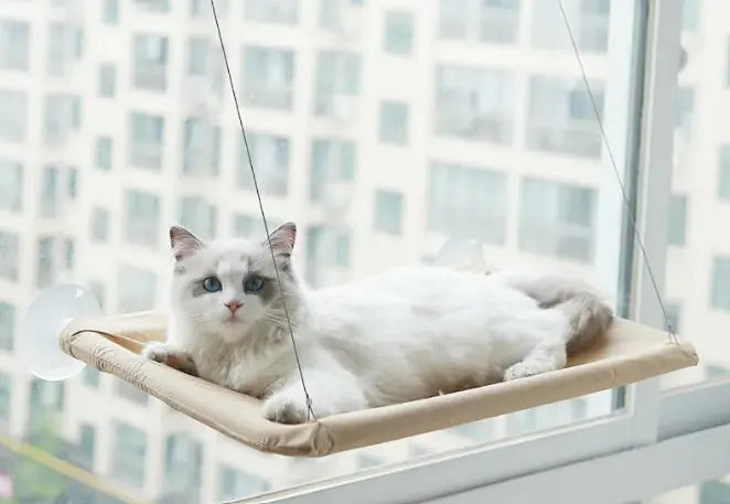 Cat Window Hammock